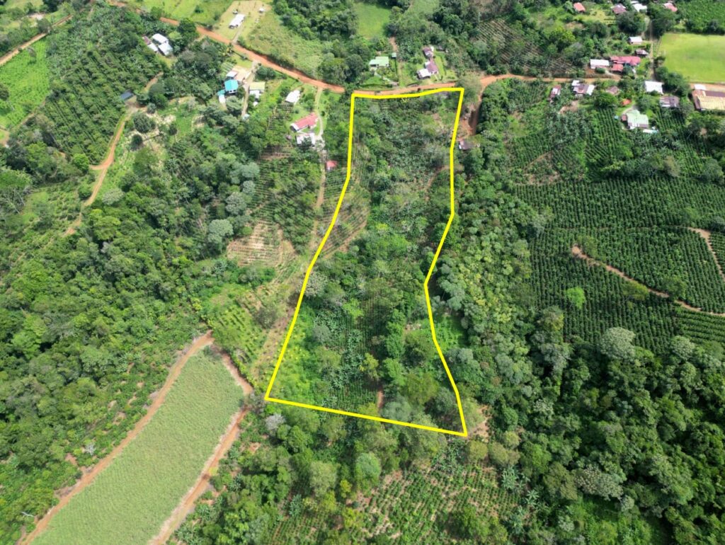 lot, land for sale