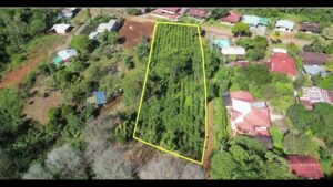 Your Home In Costa Rica VideoCapture_20231108-155928-300x169 Stunning Lot for Sale (0.64 acres) in Santa Elena del General  