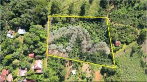 Your Home In Costa Rica WhatsApp-Image-2023-11-08-at-2.15.36-PM-300x168 This Is The Lot ( 3 acres) For Sale In Santa Elena Del General, San Jose, You Are Looking For!!  