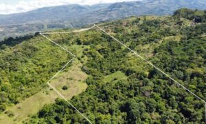 Your Home In Costa Rica IMG-20240321-WA0099-300x180 Beautiful land for sale in General Viejo (25 hectares / 61.77 acres)  