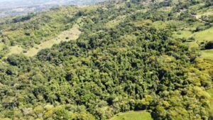 Your Home In Costa Rica IMG-20240321-WA0102-300x169 Beautiful land for sale in General Viejo (25 hectares / 61.77 acres)  