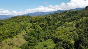Your Home In Costa Rica IMG-20240321-WA0104-300x169 Beautiful land for sale in General Viejo (25 hectares / 61.77 acres)  