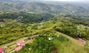 Your Home In Costa Rica IMG-20240321-WA0105-300x180 Beautiful land for sale in General Viejo (25 hectares / 61.77 acres)  