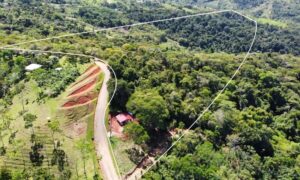 Your Home In Costa Rica IMG-20240321-WA0106-300x180 Beautiful land for sale in General Viejo (25 hectares / 61.77 acres)  