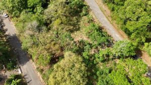 Your Home In Costa Rica 3-Lot58-AV-1-300x169 Beautiful lot for sale in Alegria Village (5801 sq.ft)  