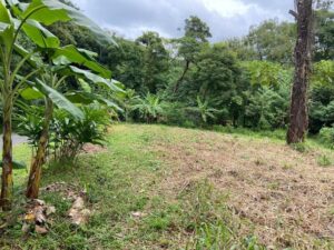 Your Home In Costa Rica 6-Lot-58-AV-300x225 Beautiful lot for sale in Alegria Village (5801 sq.ft)  